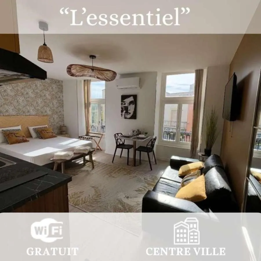 Mimosa Roanne Centre-Ville - Parking & Clim Apartamento