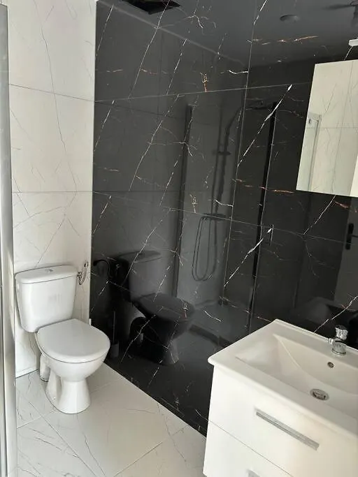 Appartement Mimosa Roanne Centre-Ville - Parking & Clim
