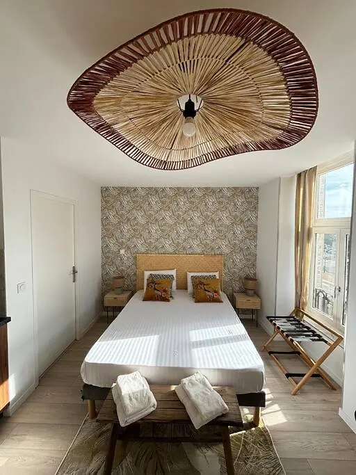 Mimosa Roanne Centre-Ville - Parking & Clim Appartement