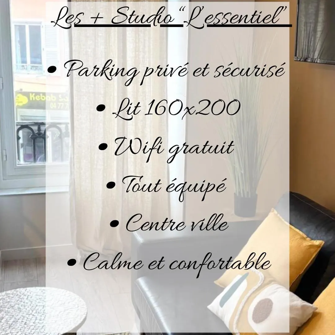 Mimosa Roanne Centre-Ville - Parking & Clim Appartement